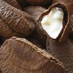 Noix du Brésil - Ekia Cosmetiques